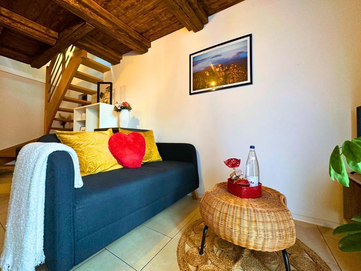 Le Petit Chataignier - Cozy Immo Châtenois Exterior foto
